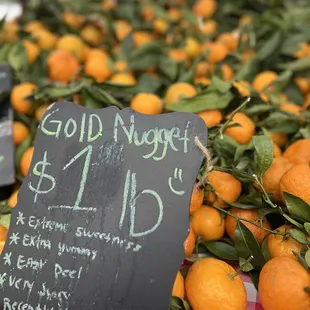 Gold Nuggets at Cupertino's Farmer's Market