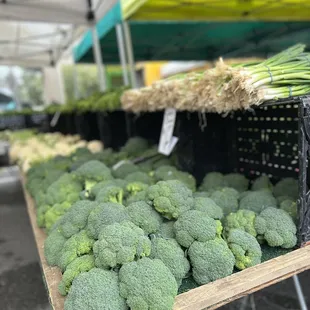 Cupertino Farmer's Market