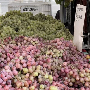 Cupertino Farmer's Market
