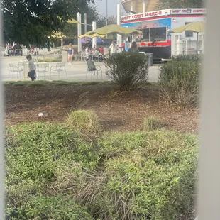 outside