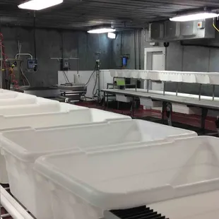 Beef Processing Room