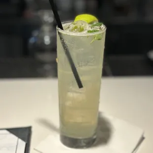 Basil Lemongrass No-Jito