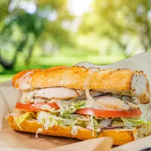 Bite into pure excellence with our grilled chicken sandwich!
