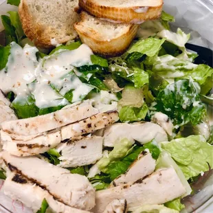 Grilled Chicken Caesar Salad