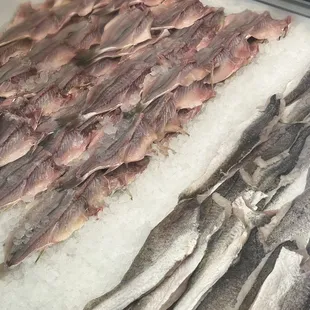 fish on ice