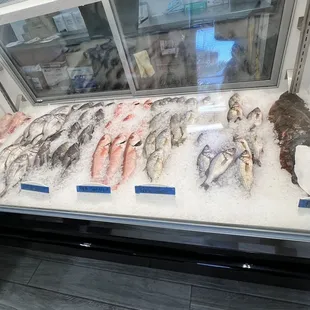 Fresh fish