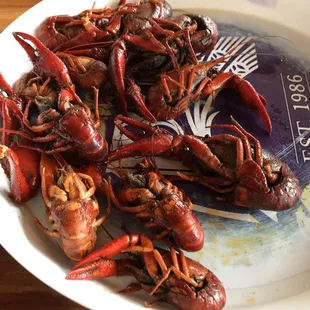 Boiled Crawfish