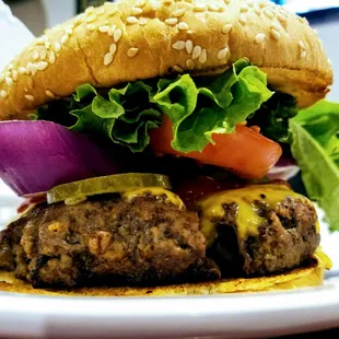 Big Al's didn't disappoint...cheeseburger was very good!