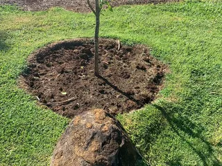 Mililani Ravine Park