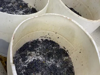 North Coast Wine Club