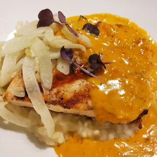 Salmon Risotto $33  05-28-2024