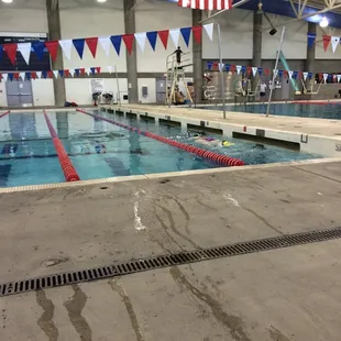 Lap swim and diving board