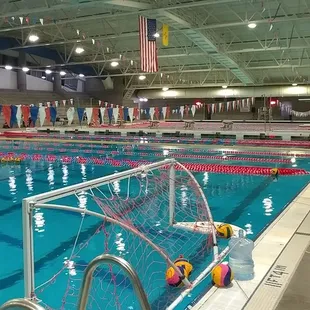 Olympic size pool with diving board