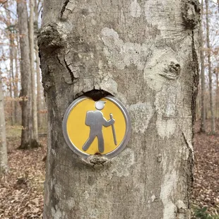 Trail maker on trees