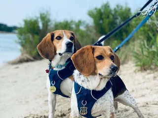 Pleasure House Point Natural Area