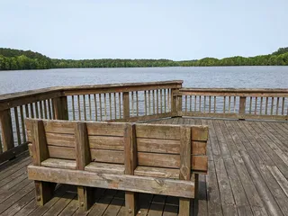 Stumpy Lake Natural Area