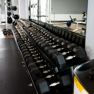 Dumbbells up to 150lbs!
