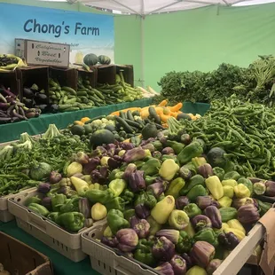 a few pics of this stall. freshest produce.