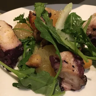 Grilled Octopus