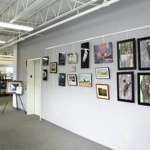 Photo Prints Minneapolis, MN