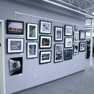 Picture Printing Minneapolis, MN