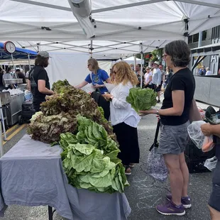 a table full of lettuce