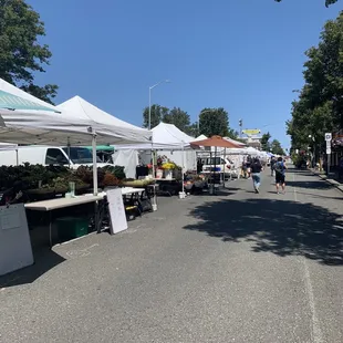 The market is just a block long, with plenty of space for people to walk