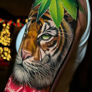 Tiger Done by Melek Tastekin