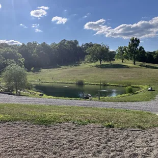 Out back fun for the kids