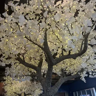 Nice decor- who dust them?