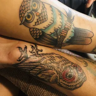 Our owls- hooters and tootsie