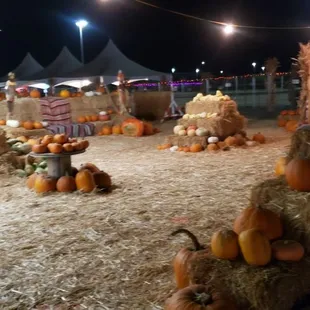 Speer Family Farms Pumpkin Patch 2022