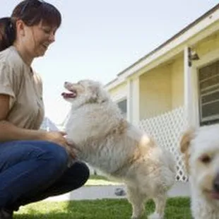 Puppy Care in Wichita, KS