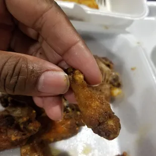 Baby wings