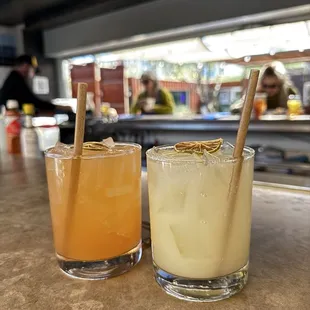 Cactus wren and gin fizz