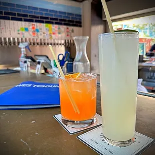 Caribenn and cactus wren