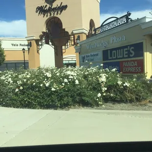 The great, the beautiful, the WestBridge Plaza!