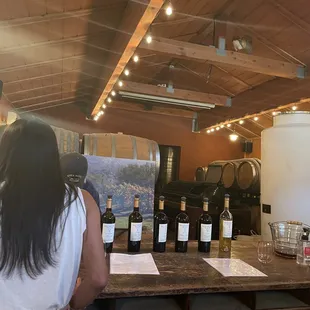 a woman standing in front of a counter with bottles of wine