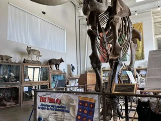Fossil Discovery Center of Madera County