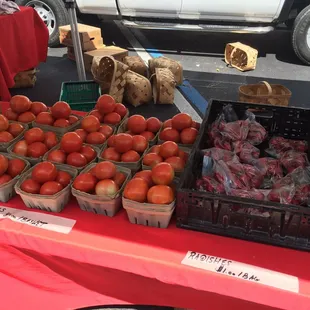 a variety of tomatoes