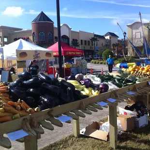 a variety of vegetables