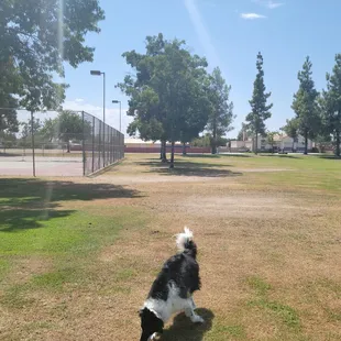 Huge park, impressed at the level of care taken here