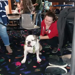 Bowling for Bulldogs!