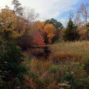 Near Park