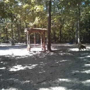 Dog Park.