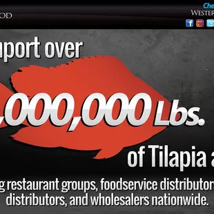 Tilapia is a staple item of Western Edge, and we have all but perfected Tilapia, &amp; it has made us one of the largest importers of Tilapia!