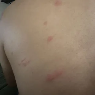 Bead bugs from western holiday lodge at three rivers.