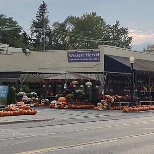 pumpkins on display on the street