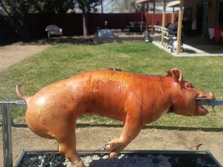 Isleta Feed and Farrier Service