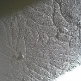 Termite tunnels under paint on drywall.